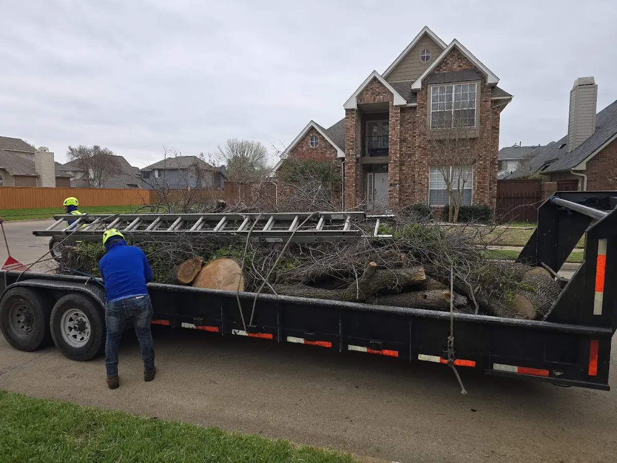 Expert Crown Reduction with proper safety equipment in Liberty Lake